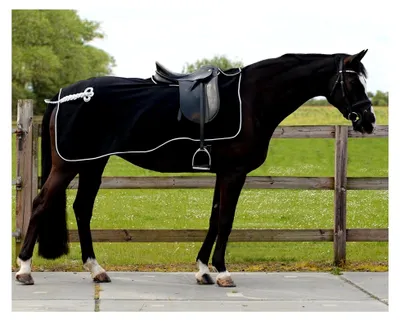 Produktbild von Fleece-Ausreitdecke mit Sattelausschnitt in Schwarz-Silber (XL)