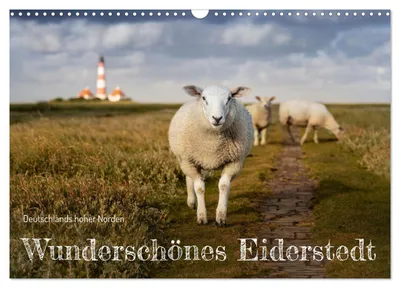 Produktbild von Wunderschönes Eiderstedt (Wandkalender 2027 DIN A3 quer), CALVENDO Monatskalender