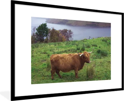 Produktbild von MuchoWow® MuchoWow® Gerahmtes Poster Schottische Hochlandrind - Gras - Wasser - Tiere 90x60 cm - Poster mit zchwarzem Bilderrahmen - Wanddekoration - Fotos