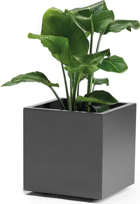 Produktbild von euro3plast 315-762 Pflanzkübel Greener Kebe 40cm, anthrazit