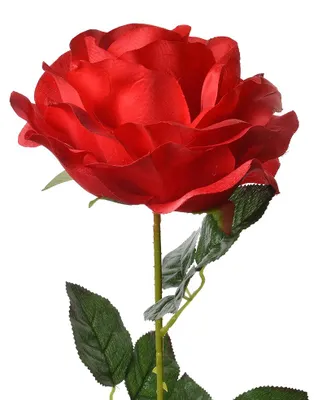 Obrázek produktu pro Clayre & Eef Umělé květiny Rose 75 cm Červená plastová