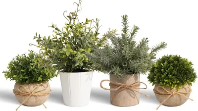 Produktbild von Künstliche Pflanzen Set Mini Eukalyptus Kunstpflanze 4er für Deko Zuhause Büro