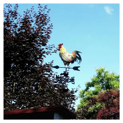 Produktbild von Metall-Hahn Wetterfahne, bunte Windanzeige in Hahn-Form, 35×130 cm für Garten und Dachdekoration