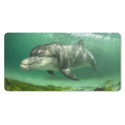 Produktbild von MuchoWow® Mauspad Mousepad Delfin - Tiere - Wasser 60x30 cm - Mousepads - Maus Mat - Pad - Mausunterlage - Nachhaltig