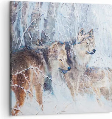 Produktbild von Bild auf Leinwand - Leinwandbild - Wolf Tier Wald - 50x50cm - Wand Bild - Wanddeko - Wandbilder - Leinwanddruck - Bilder - Kunstdruck - Wanddekoration - Leinwand bilder - Wandkunst - AC50x50-3770