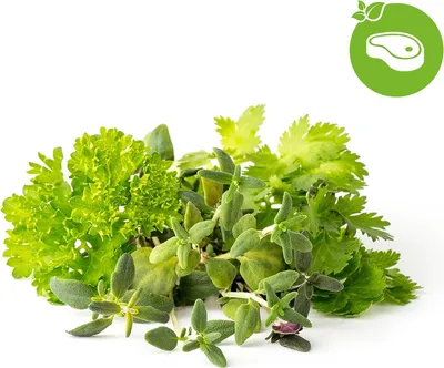 Produktbild von Click and Grow Mix Steak&Grill, Kapseln mit Kernen und Substrat 9 Stk.