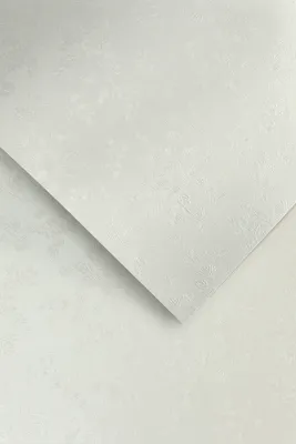 Obrázok produktu pre Galeria Papieru dekoračný papier Floral white 220g, 20ks