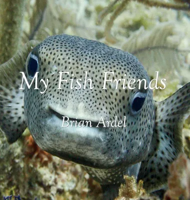 Produktbild von My Fish Friends