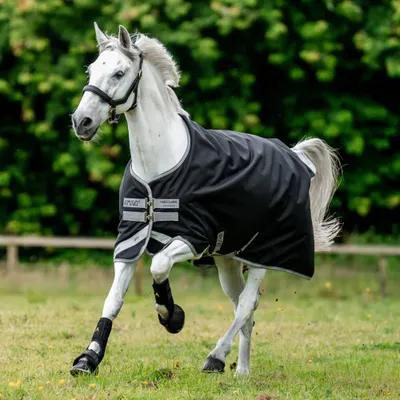 Produktbild von Horseware Weidedecke in Größe 115 - Amigo Bravo 12 Turnout 100g - Black/Titanium Grey/Silver