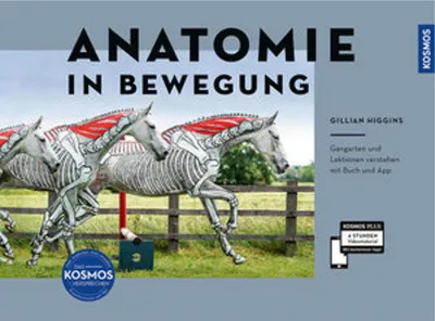 Immagine prodotto di Anatomie in Bewegung