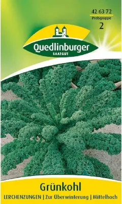 Produktbild von Quedlinburger Saatgut - Grünkohl Lerchenzungen - Samen - 426372