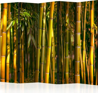 Produktbild von Akusticher Raumteiler Bambus Foto Paravent 225x172 cm beidseitig auf Vlies-Leinwand bedruckt Akustikschaum Trennwand Spanische Wand Sichtschutz Home Office Natur Botanik Pflanze b-B-0408-z-c