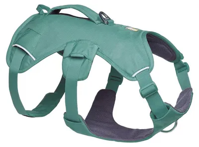 Produktbild von Ruffwear Web Master Geschirr River Rock Green S