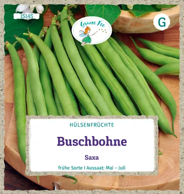 Produktbild von Grüne Fee - Buschbohne Saxa Samen - 15145