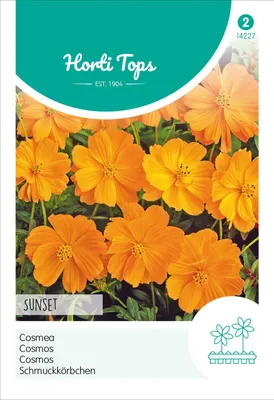 Produktbild von Schmuckkörbchen Sunset Orange | Blumensamen von Hortitops