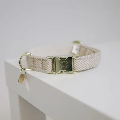 Produktbild von Kentucky Dogwear Hundehalsband Wool Beige L