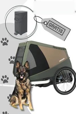 CROOZER Dog Mikke Fahrradanhänger inkl. Gratis Hundekot Eimer