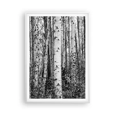 Produktbild von Gerahmtes Poster - Weißer Rahmen - Birken Wald Monochrom - 70x100 cm - Wand Bild - Wanddeko - Wandbilder - Kunstposter - Wandposter - Bilderrahmen - Bilder - Kunstdruck - P2WPA70x100-4643