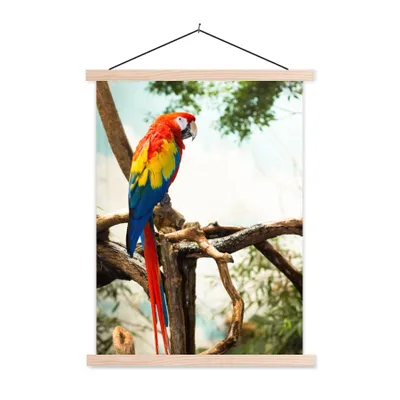 Produktbild von MuchoWow® Textilposter Papagei - Vogel - Regenbogen - Tropisch 120x160 cm mit holzfarbenen Rahmen - Plakatkarton