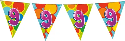 Produktbild von Haza Witbaard Flag -Linie 9 Jahre, 10mtr.