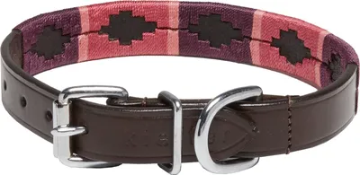 Immagine prodotto di Collare in pelle per cani Kieffer BUENOS AIRES marrone con dettagli bordeaux, fucsia e rosa, misura: 42 cm