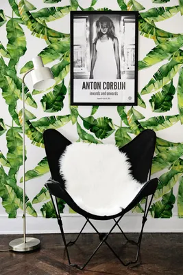 Produktbild von Coloray Fototapete 152x104 cm Vlies-Fototapete - Bananenblätter verlässt Blatt