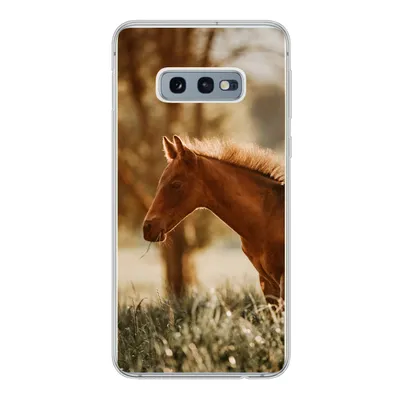 Produktbild von MuchoWow® Handyhülle Schutzhülle Hülle für Samsung Galaxy S10e Pferd - Licht - Wiese Silikon Softcase Handy Hülle - Handy