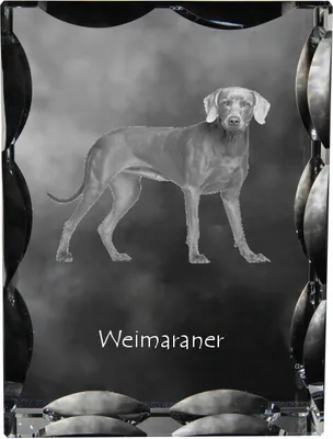Immagine prodotto di Art-Dog Cornice portafoto – Weimaraner