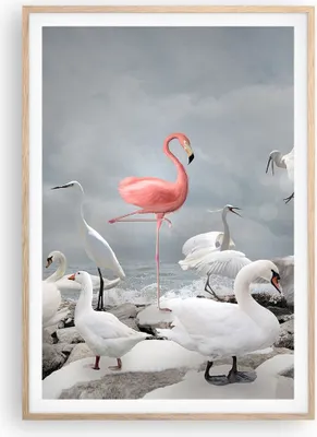 Produktbild von Gerahmtes Poster - Rahmen in heller Eiche - Flamingo Schwan Fantasie - 70x100 cm - Wand Bild - Wanddeko - Wandbilder - Kunstposter - Wandposter - Bilderrahmen - Bilder - Kunstdruck - P2NPA70x100-4929