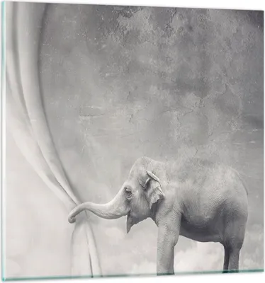 Produktbild von Bilder auf glas - Elefant Vorhang Abstraktion Phantasie - 70x70cm - Glasbilder - Wandbilder - Kunstdruck - Wanddekoration aus Glas - Glas Bilder - Wandbild auf Glas - GAC70x70-3011