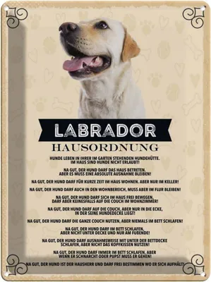 Image de vianmo Plaque en tôle 40x30 cm Tiere Labrador Hausordnung Hunde