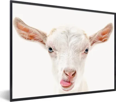 Produktbild von MuchoWow® Gerahmtes Poster Ziege - Porträt - Junge - Mädchen - Kinder - Weiß 80x60 cm - Poster mit Schwarzem Bilderrahmen Wandposter Rahmen Foto Bilder - Schwarzem - Mit Gestell