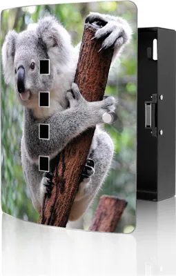 Zdjęcie produktu dla Skrzynka na klucze banjado Design ze stali nierdzewnej na 10 kluczy, wymiary 24 x 21,5 x 7 cm, z zamknięciem magnetycznym, Koala [BWSK 10224]