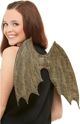 Image de Smiffys - Ailes - Hommes/femmes unie SM2835 (Taille unique) (Or)