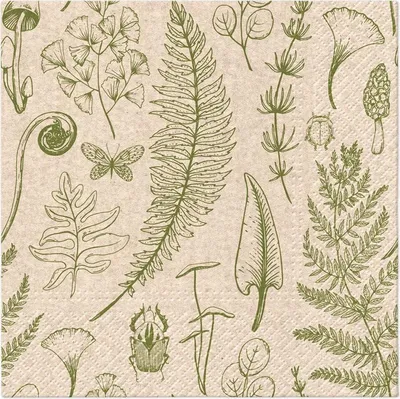 Produktbild von Serviette, 330 mm x 330 mm, 20 Stück