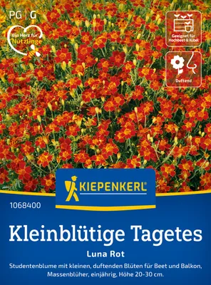 Artikelbild 2 von 'Kleinblütige Tagetes Luna Rot' aus der Kategorie Studentenblumensamen