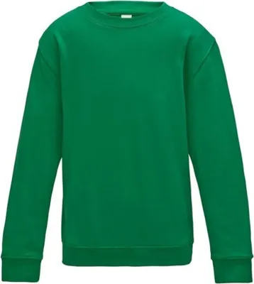 Image de Awdis - Sweat-shirt pour enfant RW8305 (152) (Vert irlandais)