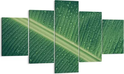 Produktbild von Bild auf Leinwand - Leinwandbild - 5 Teile - Makro Blatt Tropfen - 125x70cm - Wand Bild - Wanddeko - Wandbilder - Leinwanddruck - Bilder - Wanddekoration - Leinwand bilder - Wandbild - EA125x70-4372