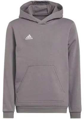Image de Adidas - Sweat à capuche « Entrada 22 » pour enfants PP1932 (116) (gris)