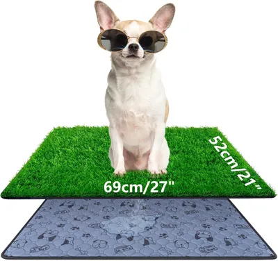 Zdjęcie produktu dla Toaleta dla psa 69x52 cm, sztuczna trawa, zmywalna, na zewnątrz