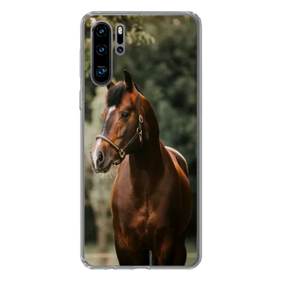 Produktbild von MuchoWow® Handyhülle Schutzhülle Hülle für Huawei P30 Pro Pferd - Äste - Porträt Silikon Softcase Handy Hülle - Schutzdeckel