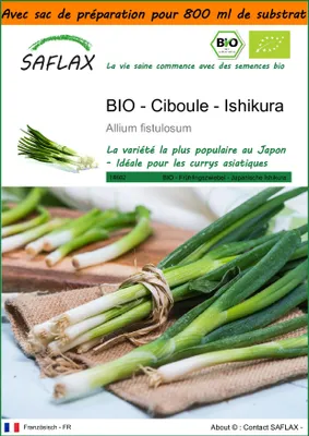 Image de SAFLAX Garden in the bag -- Ciboule - Ishikura - 150 graines - Allium