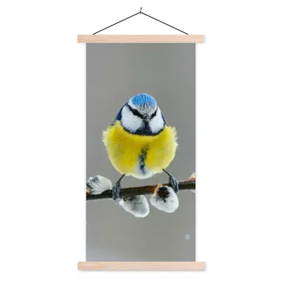 Produktbild von MuchoWow® Textilposter Blaumeise - Vogel - Zweig - Gelb - Blau 60x120 cm mit holzfarbenen Rahmen - Holz