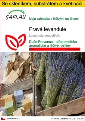 Obrázek produktu pro SAFLAX Kultivační sada - pravá levandule - Lavandula angustifolia - 150 Semena - S mini skleníkem, pěstebním substrátem a 2 květináči