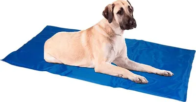 Image de Tapis réfrigérant pour animaux domestiques 90x50cm Couverture réfrigérante Coussin réfrigérant chiens chats auto-réfrigérant