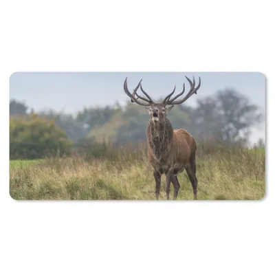 Produktbild von MuchoWow® Mauspad Mousepad Hirsche - Geweihe - Gras 60x30 cm - Mousepads - Maus Mat - Pad - Mausunterlage - Nachhaltig
