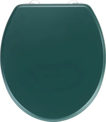 A top-down view of a dark green toilet seat.