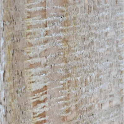 Produktbild von Hocker MCW-L76, Sitzhocker Holzhocker, Industrial Massiv-Holz MVG-, natur mit Metall-Optik