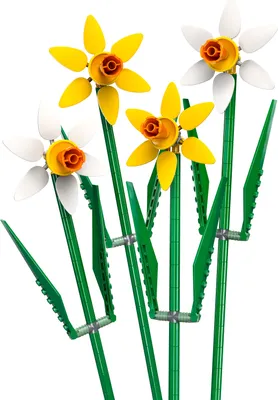 Obrázek produktu pro Narcisy LEGO®