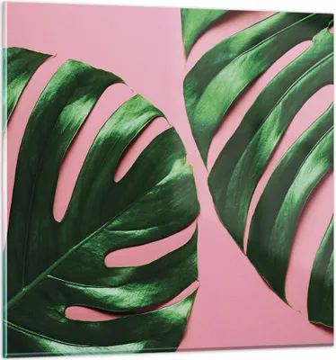 Produktbild von Bilder auf glas - Einteilig - Monstera Blatt Rosa - 40x40cm - Glasbilder - Wandbilder - Bilder - zum Aufhängen bereit - Wanddekoration aus Glas - Glas Bilder - Wandbild auf Glas - GAC40x40-4407